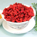 Goji Berry, Goji Berries